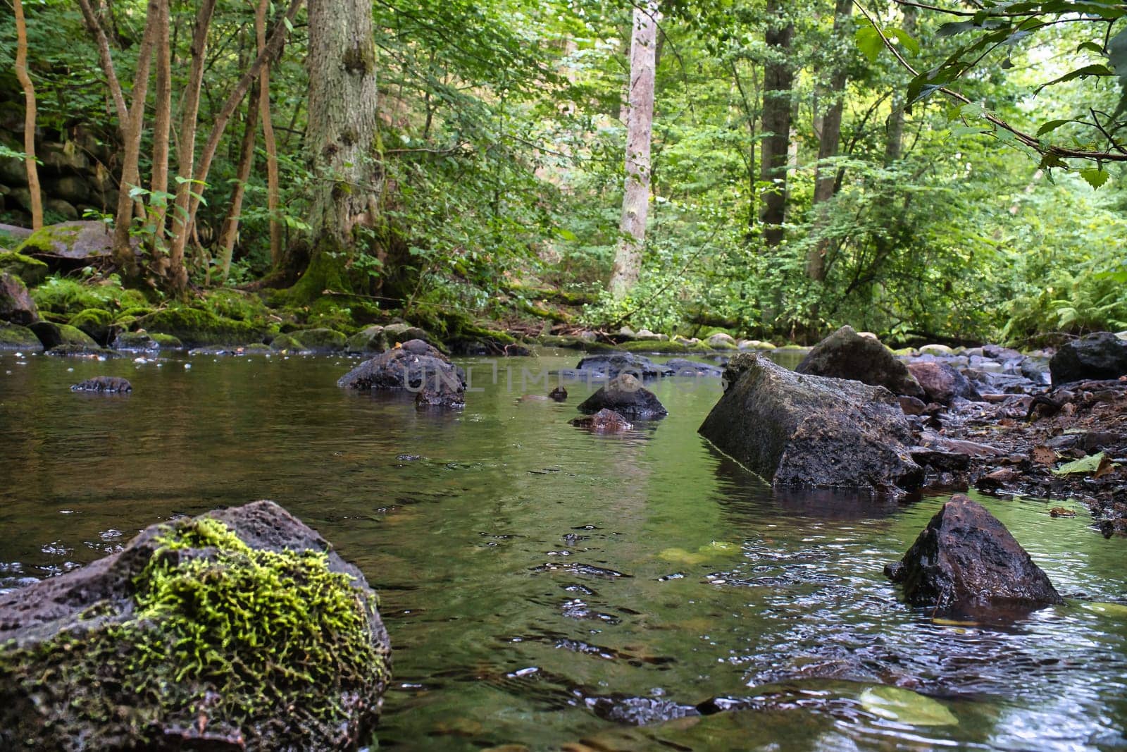 A small stream in Sweden. Moss-covered stones. Forest on the riverbank. Scandinavian nature