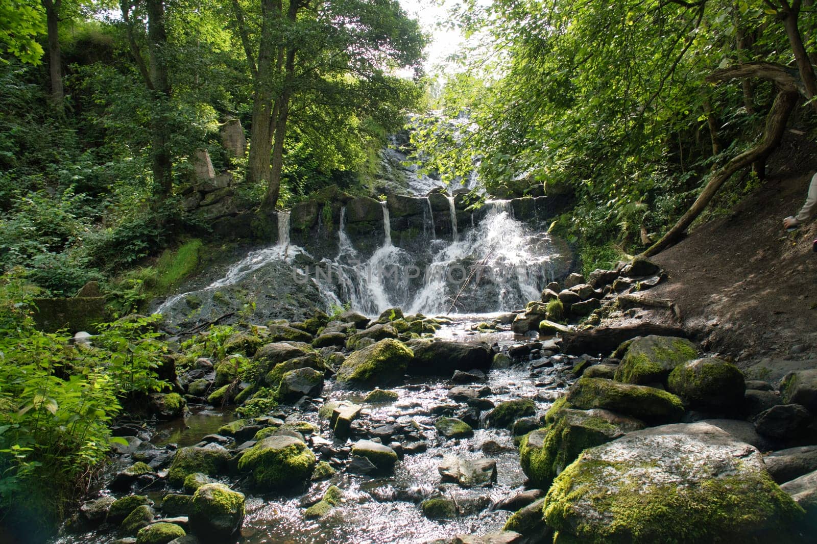 Small waterfall in Sweden. Moss-covered stones. Forest on the river bank. Scandinavian nature