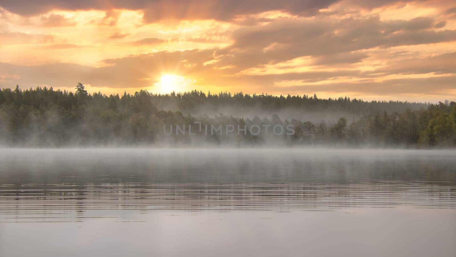 Sunrise with fog forming over a lake in Sweden, at dawn. Romantic silence, in the Scandinavian nature