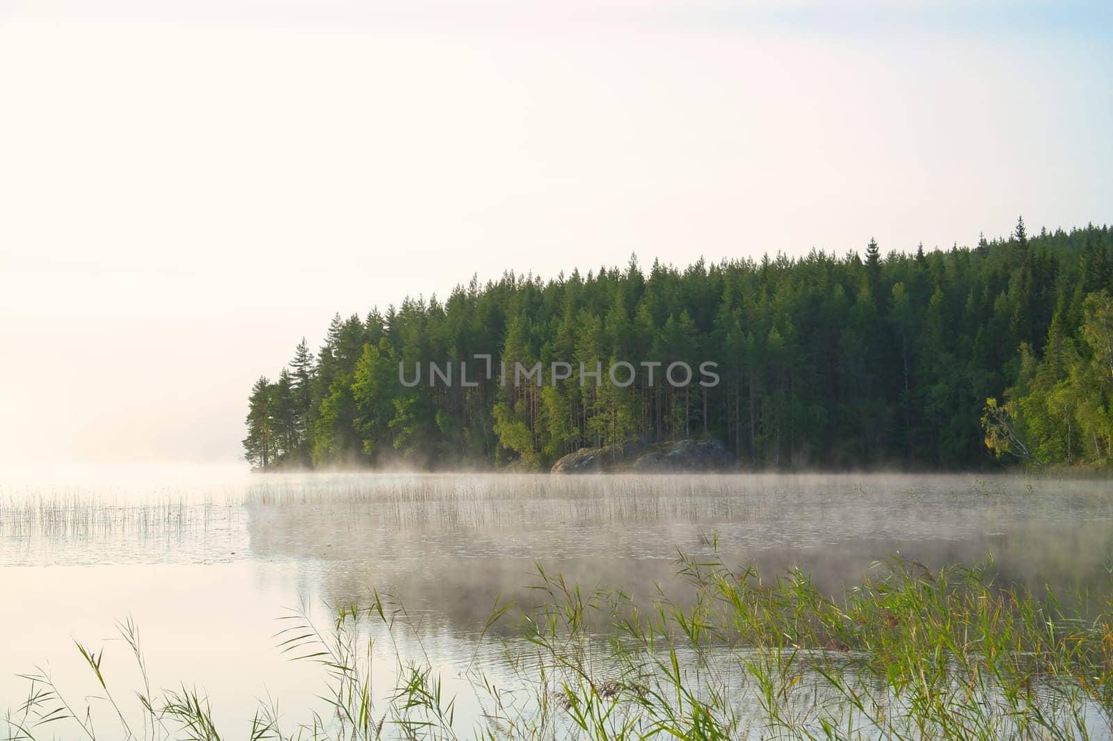 Lake in Sweden at sunrise with romantic light, blue water and trees on the shore. Scandinavian nature in the north