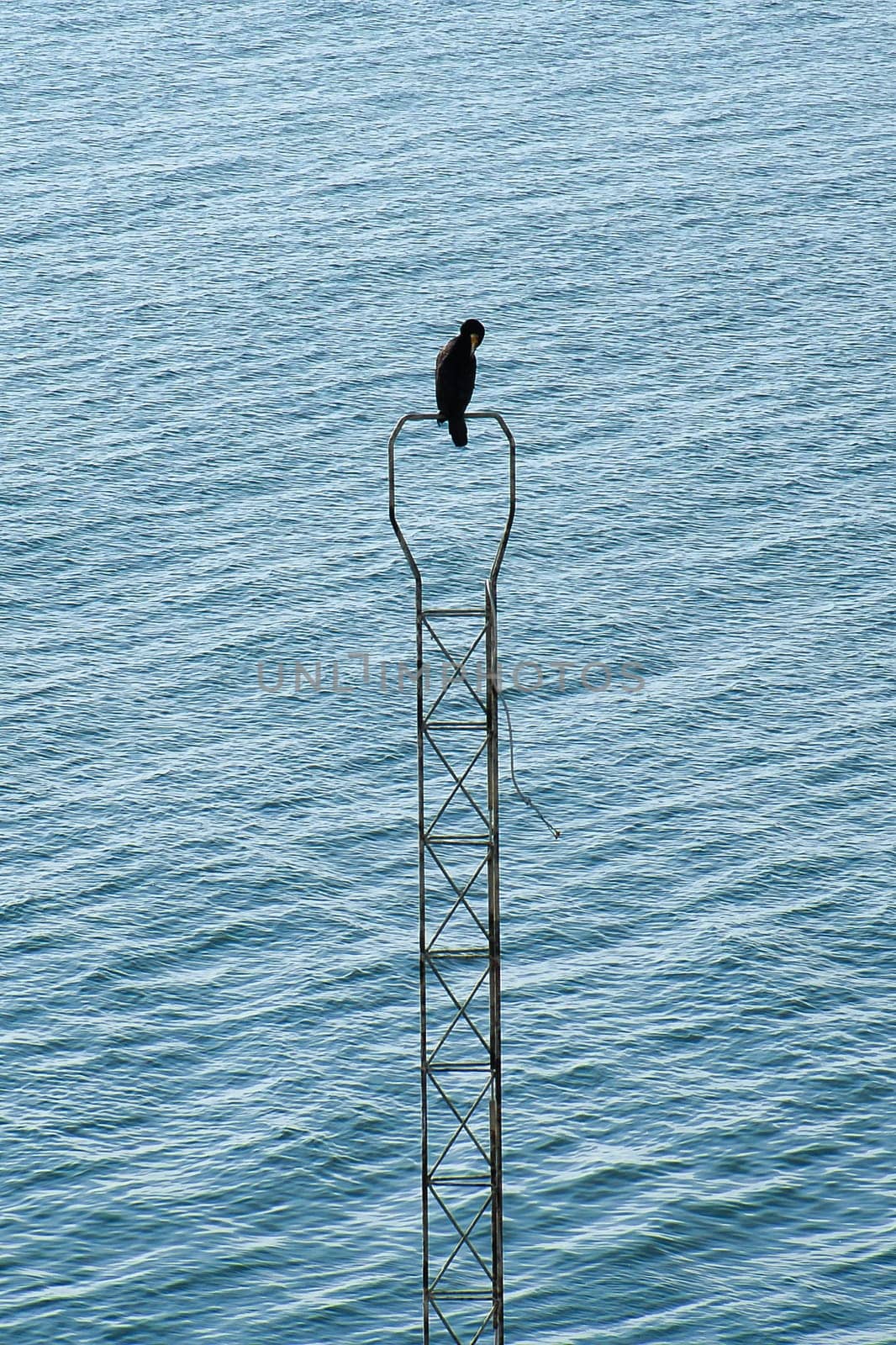 A black cormorant bird on a metal, narrow structure above a calm water surface. The background is characterized by wavy, blue water.