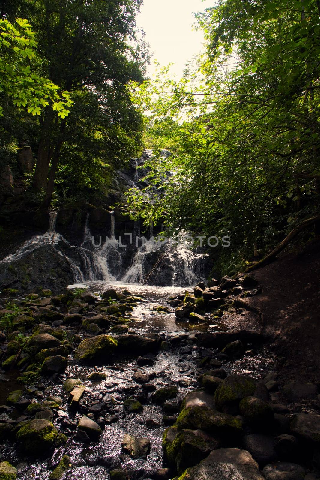 Small waterfall in Sweden. Moss-covered stones. Forest on the river bank. Scandinavian nature