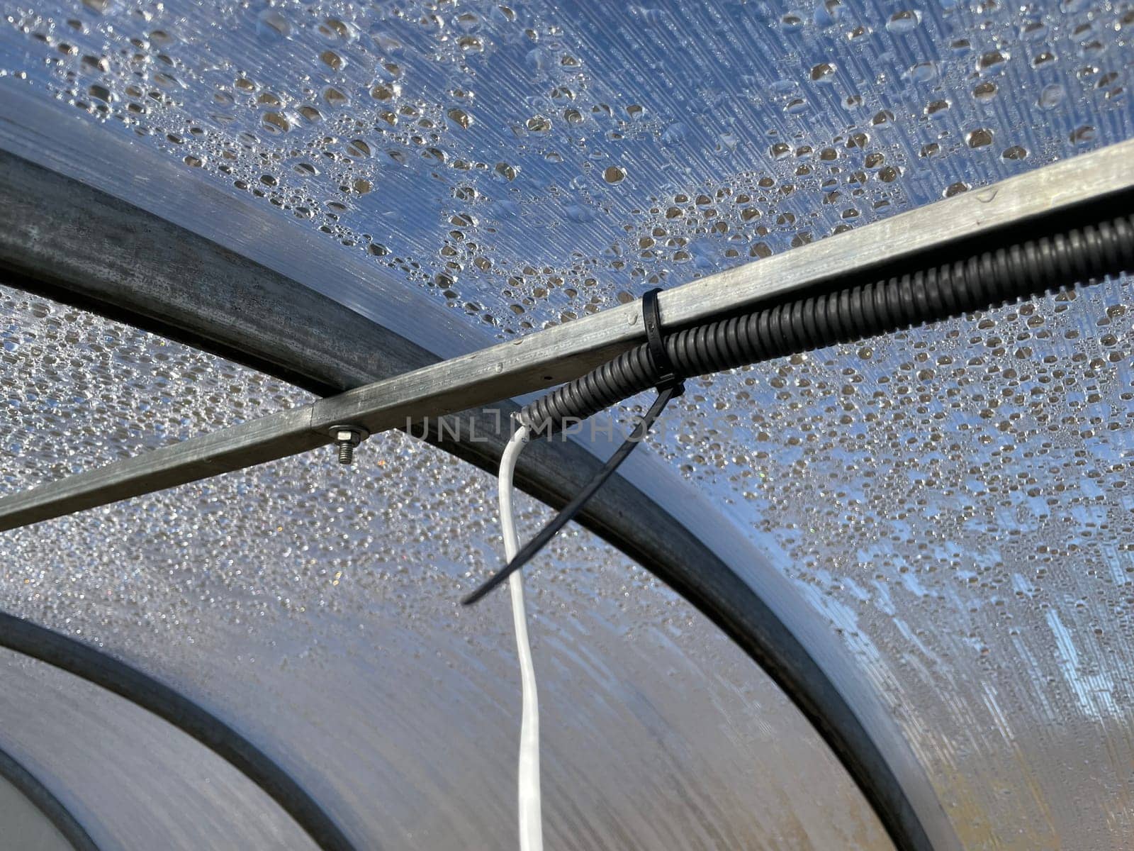An image capturing the process of installing electrical wiring to a greenhouse, providing power for lighting, heating, and equipment.