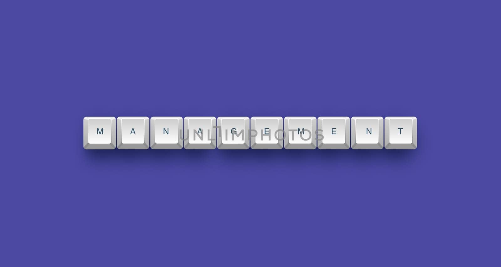 Management text on a 3d keyboard button with shadow, 3d illustration