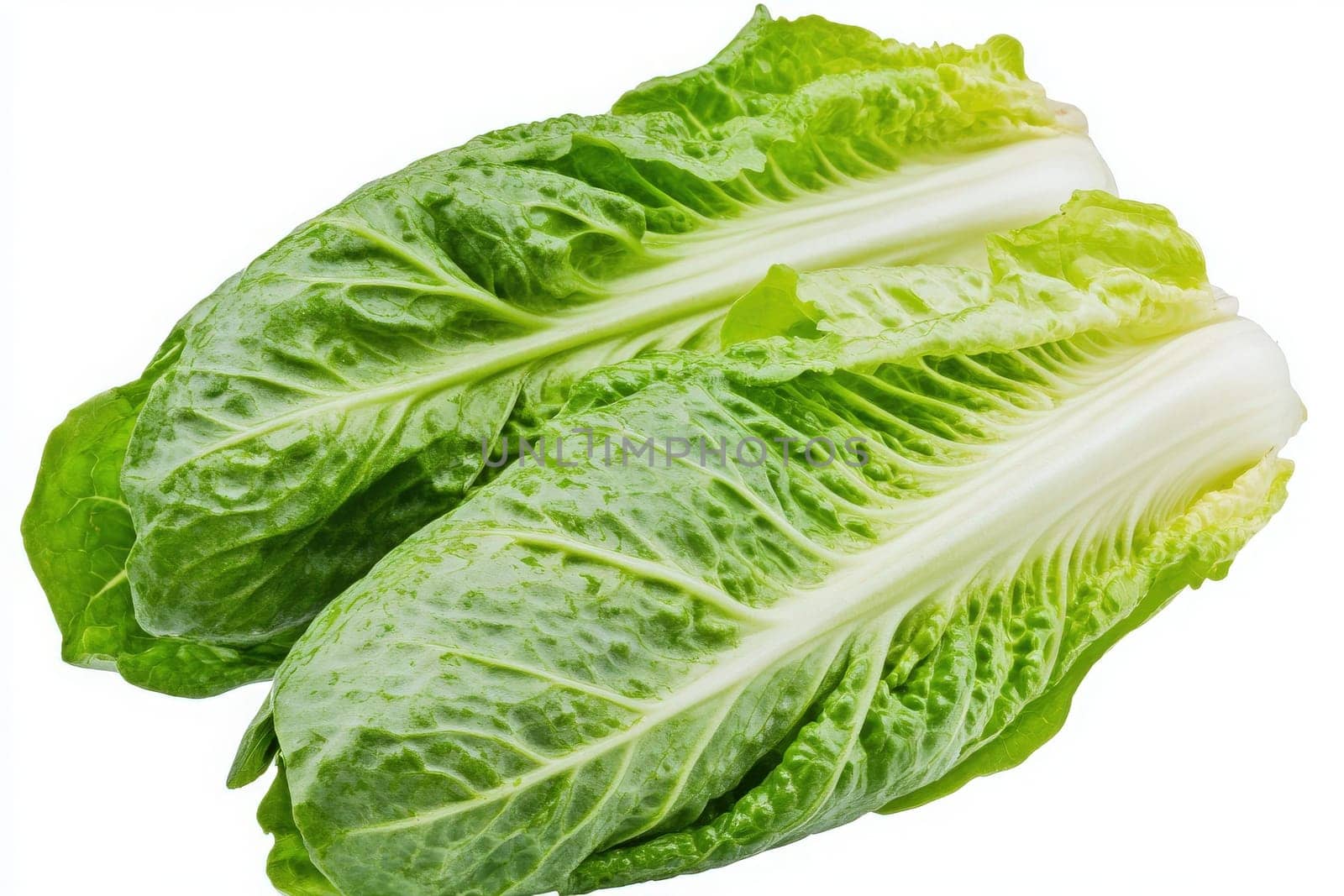 Two crisp romaine lettuce leaves are centered on a clean white background. Ideal for salads and healthy meals, this fresh produce showcases vibrant green color and crisp texture.