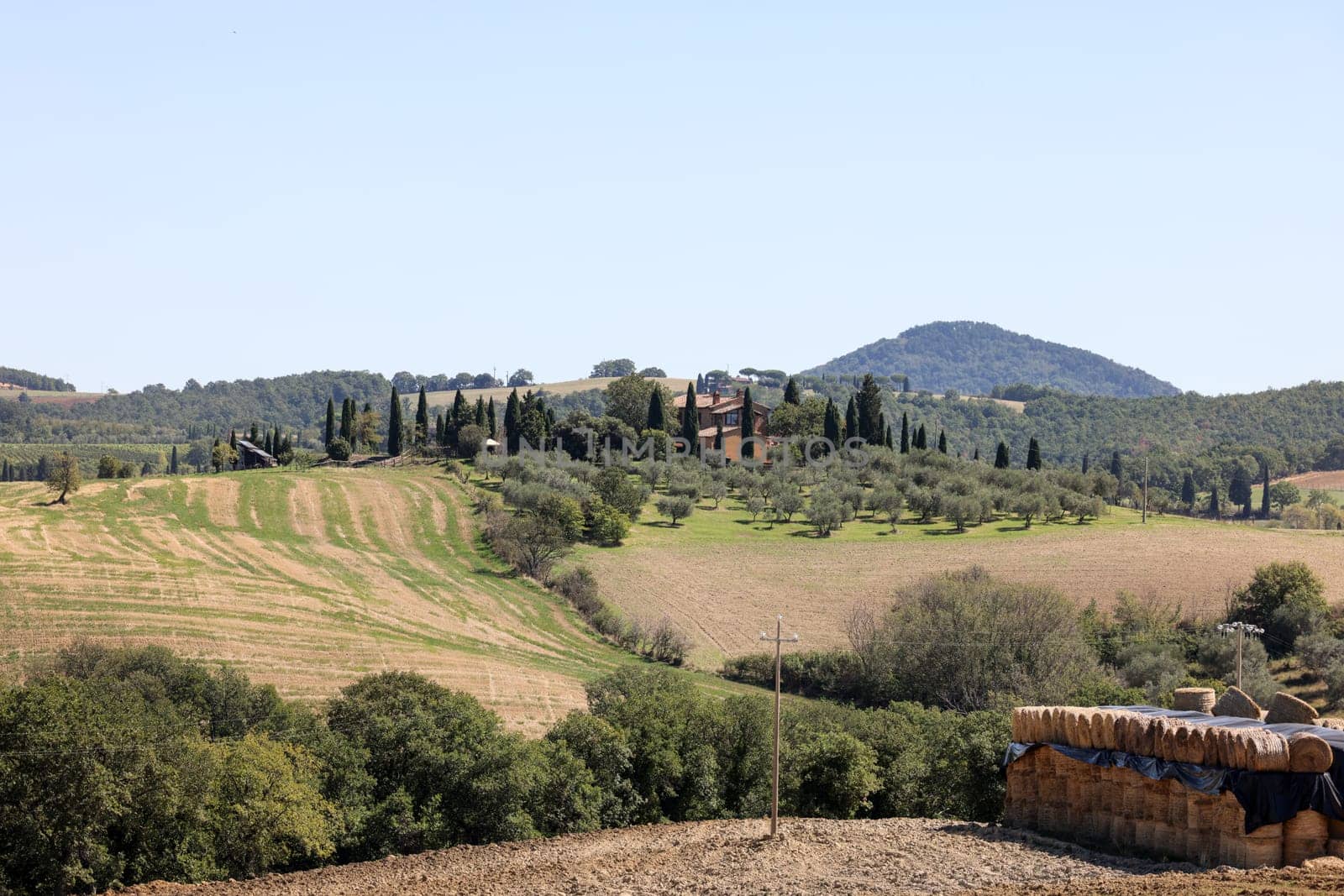 The rural landscape near Pienza in Tuscany. Italy