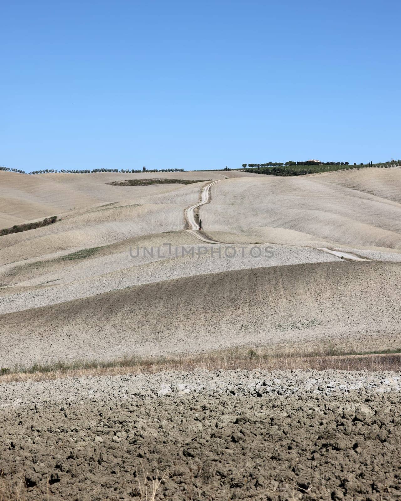 The rural landscape near San Quirico in Tuscany. Italy