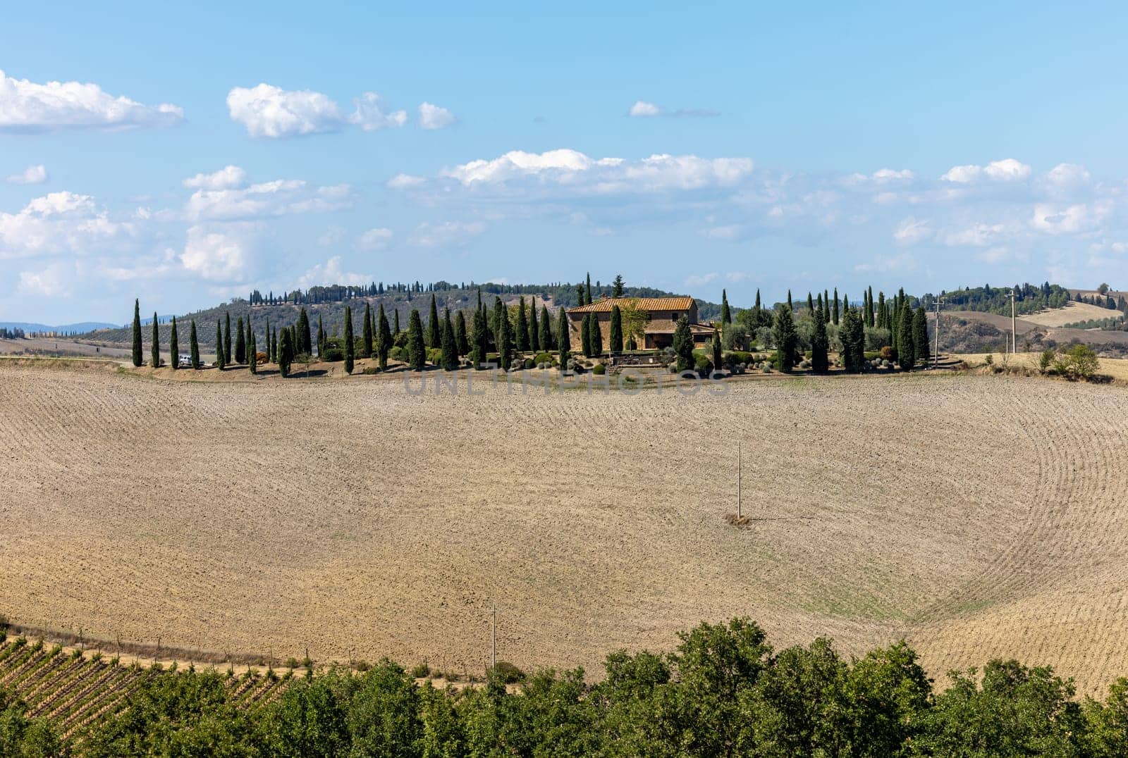 The rural landscape near Pienza in Tuscany. Italy