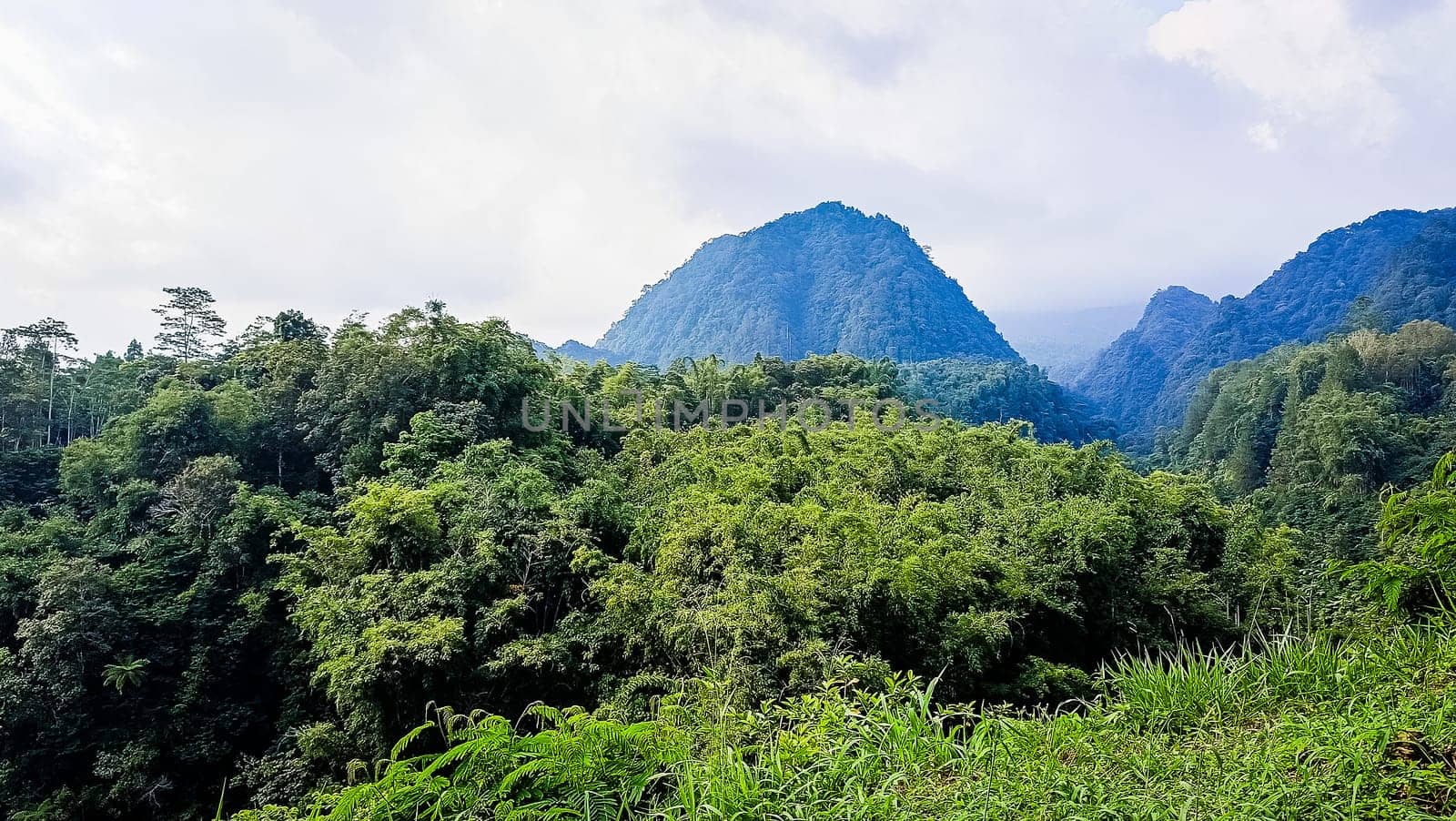 Forest and hill in Kaliurang, Sleman, Special Region of Yogyakarta, Indonesia. It shows the forest next to a hill filled with trees. This scene takes place near Merapi Volcano Mountain.