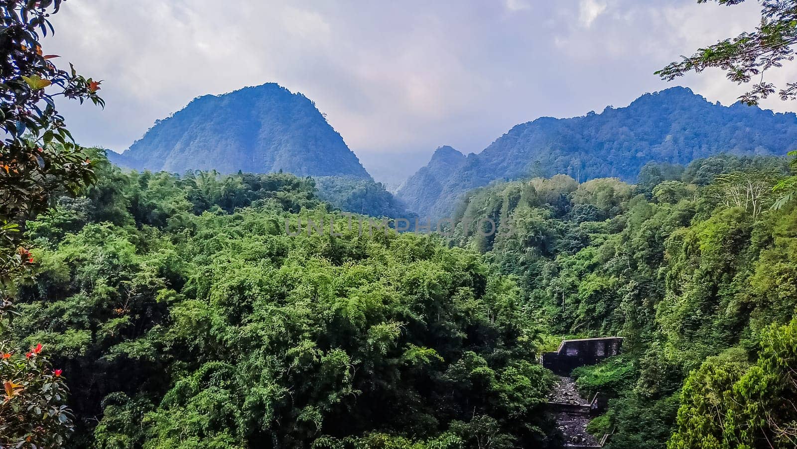 Forest, canyon and hill in Kaliurang, Sleman, Special Region of Yogyakarta, Indonesia. It shows the forest next to a canyon and a hill filled with trees. This scene takes place near Merapi Volcano Mountain.