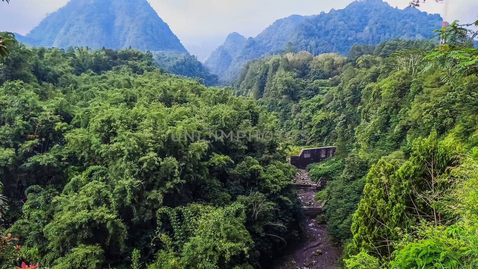 Forest, canyon and hill in Kaliurang, Sleman, Special Region of Yogyakarta, Indonesia. It shows the forest next to a canyon and a hill filled with trees. This scene takes place near Merapi Volcano Mountain.