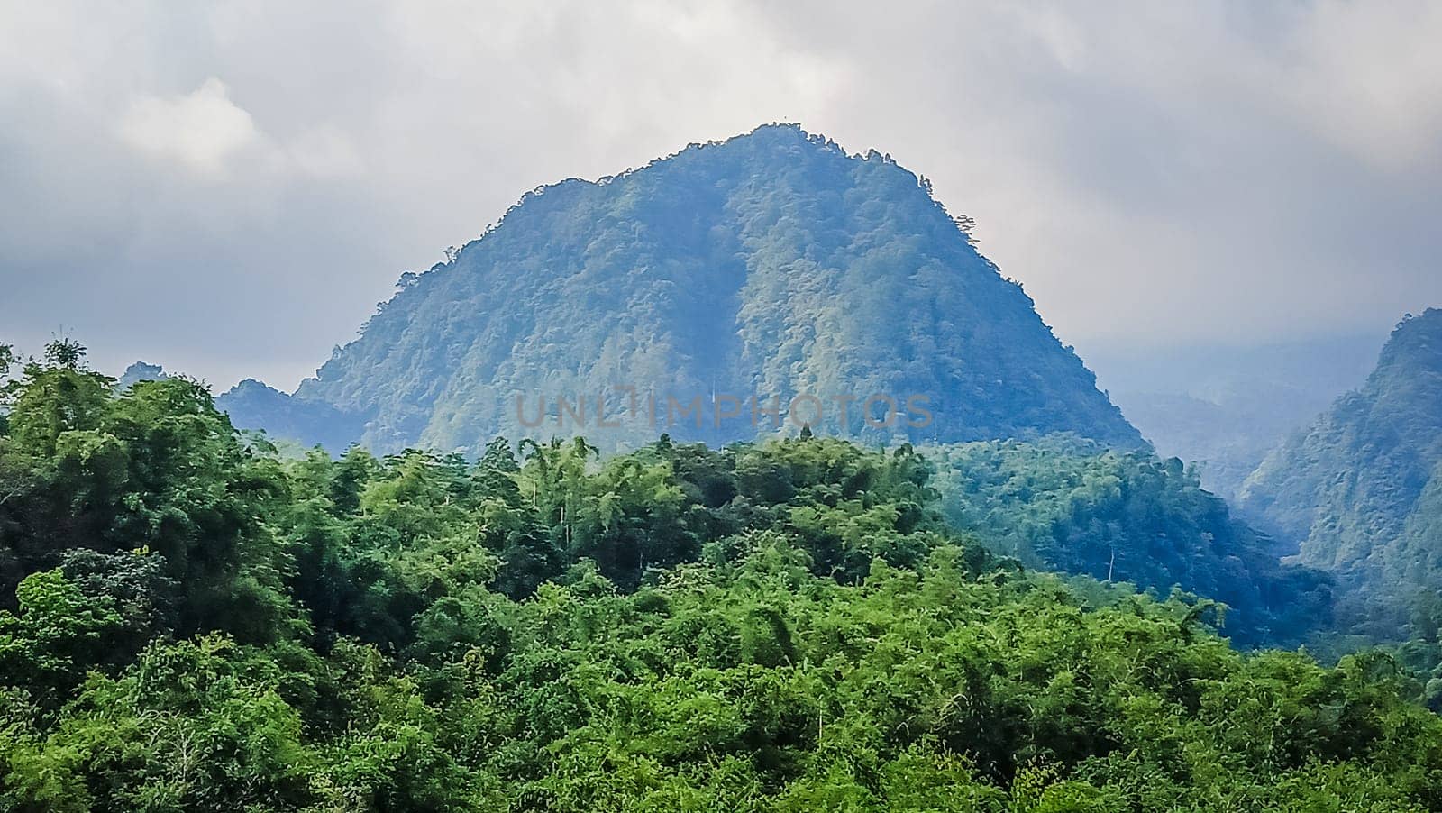 Forest and hill in Kaliurang, Sleman, Special Region of Yogyakarta, Indonesia. It shows the forest next to a hill filled with trees. This scene takes place near Merapi Volcano Mountain.