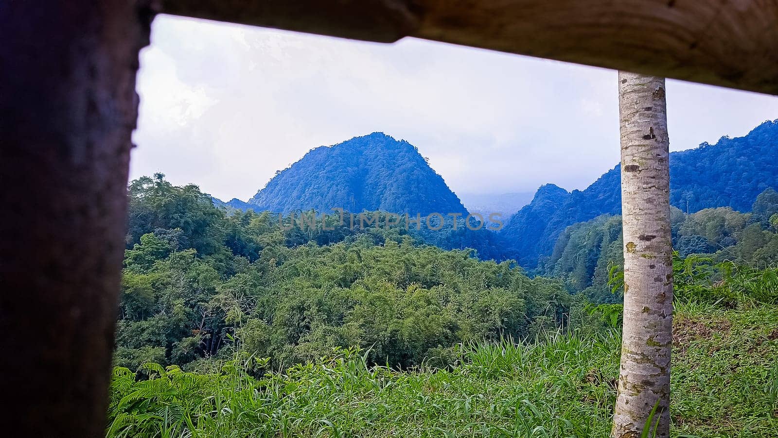 Forest and hill in Kaliurang, Sleman, Special Region of Yogyakarta, Indonesia. It shows the forest next to a hill filled with trees. This scene takes place near Merapi Volcano Mountain.