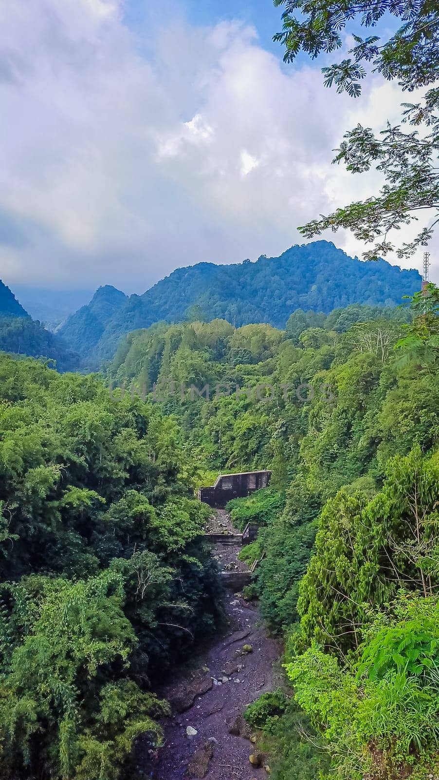 Forest and canyon in Kaliurang, Sleman, Special Region of Yogyakarta, Indonesia. It shows the forest next to a canyon. This scene takes place near Merapi Volcano Mountain.