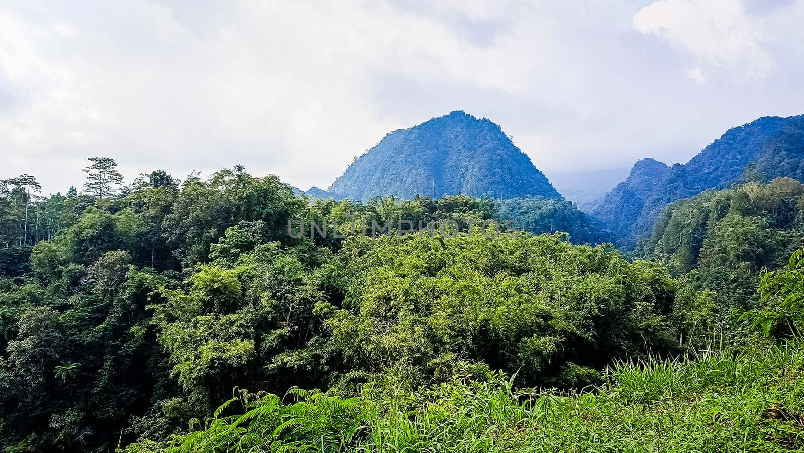 Forest and hill in Kaliurang, Sleman, Special Region of Yogyakarta, Indonesia. It shows the forest next to a hill filled with trees. This scene takes place near Merapi Volcano Mountain.