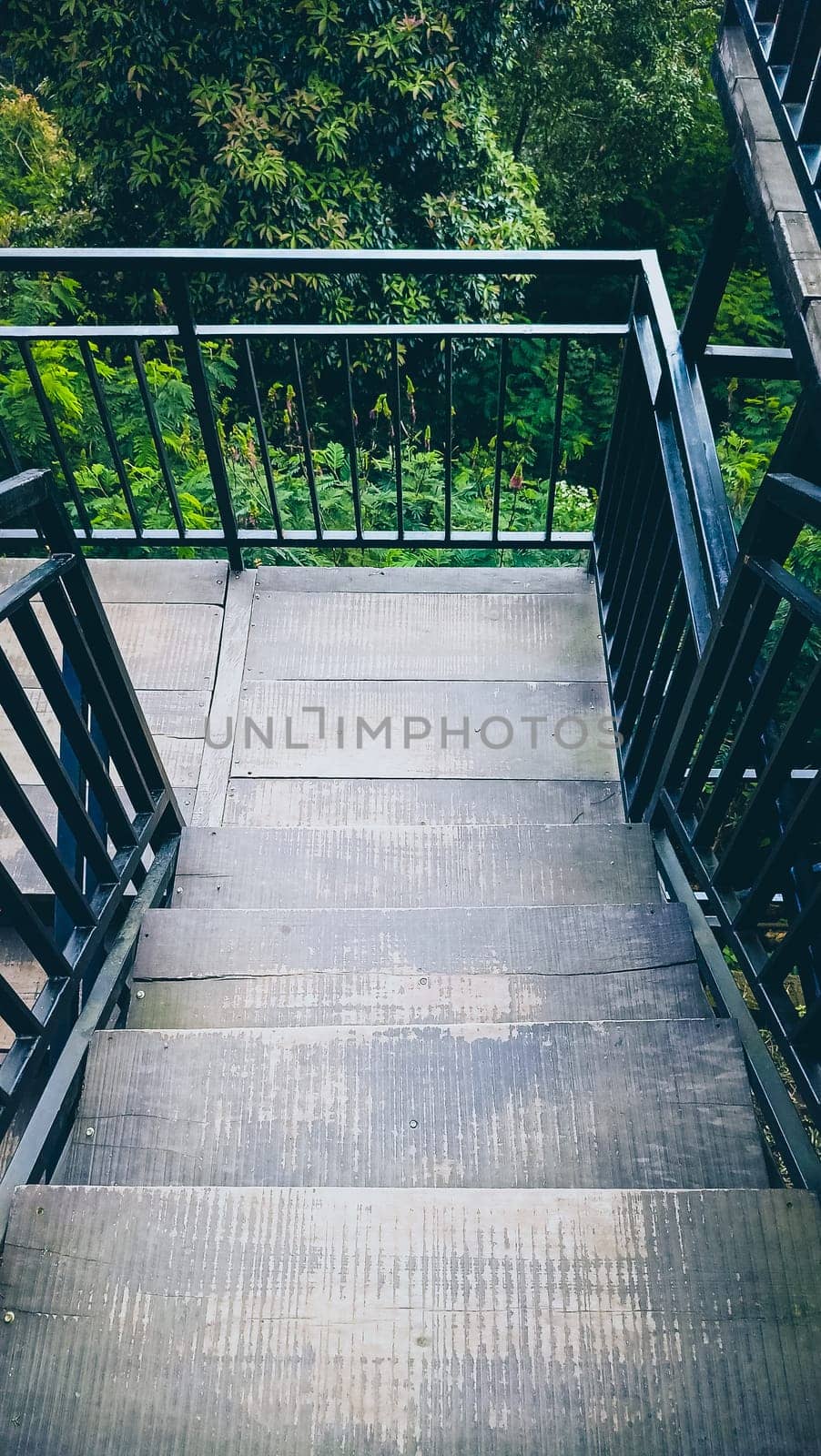 A staircase with a railing and a view of trees. The railing is black and the steps are gray