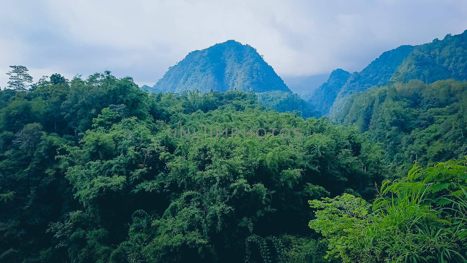 Forest and hill in Kaliurang, Sleman, Special Region of Yogyakarta, Indonesia. It shows the forest next to a hill filled with trees. This scene takes place near Merapi Volcano Mountain.