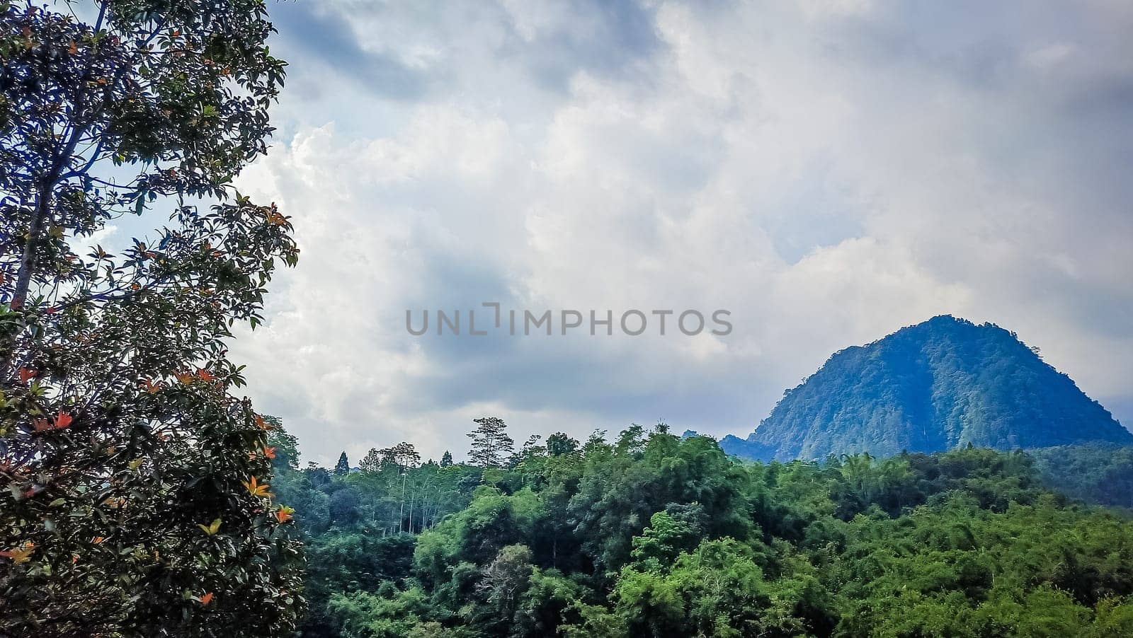 Forest and hill in Kaliurang, Sleman, Special Region of Yogyakarta, Indonesia. It shows the forest next to a hill filled with trees. This scene takes place near Merapi Volcano Mountain.