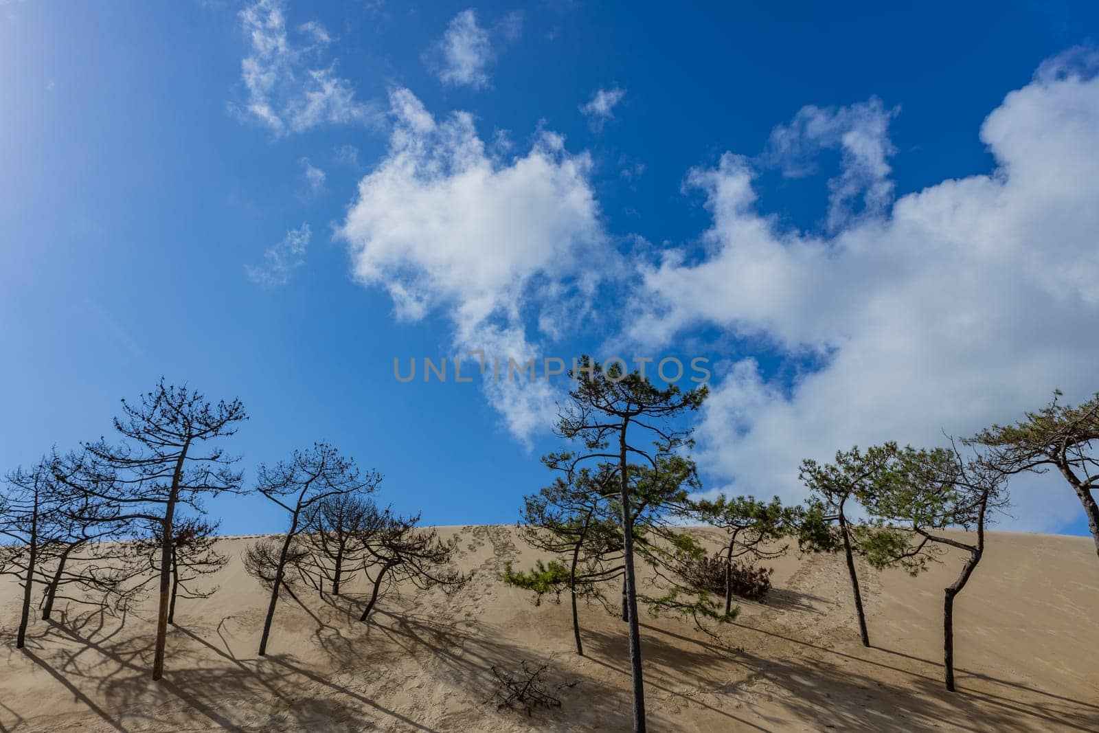 Dune of Pilat, the tallest sand dune in Europe. Arcachon Bay. Aquitaine, France