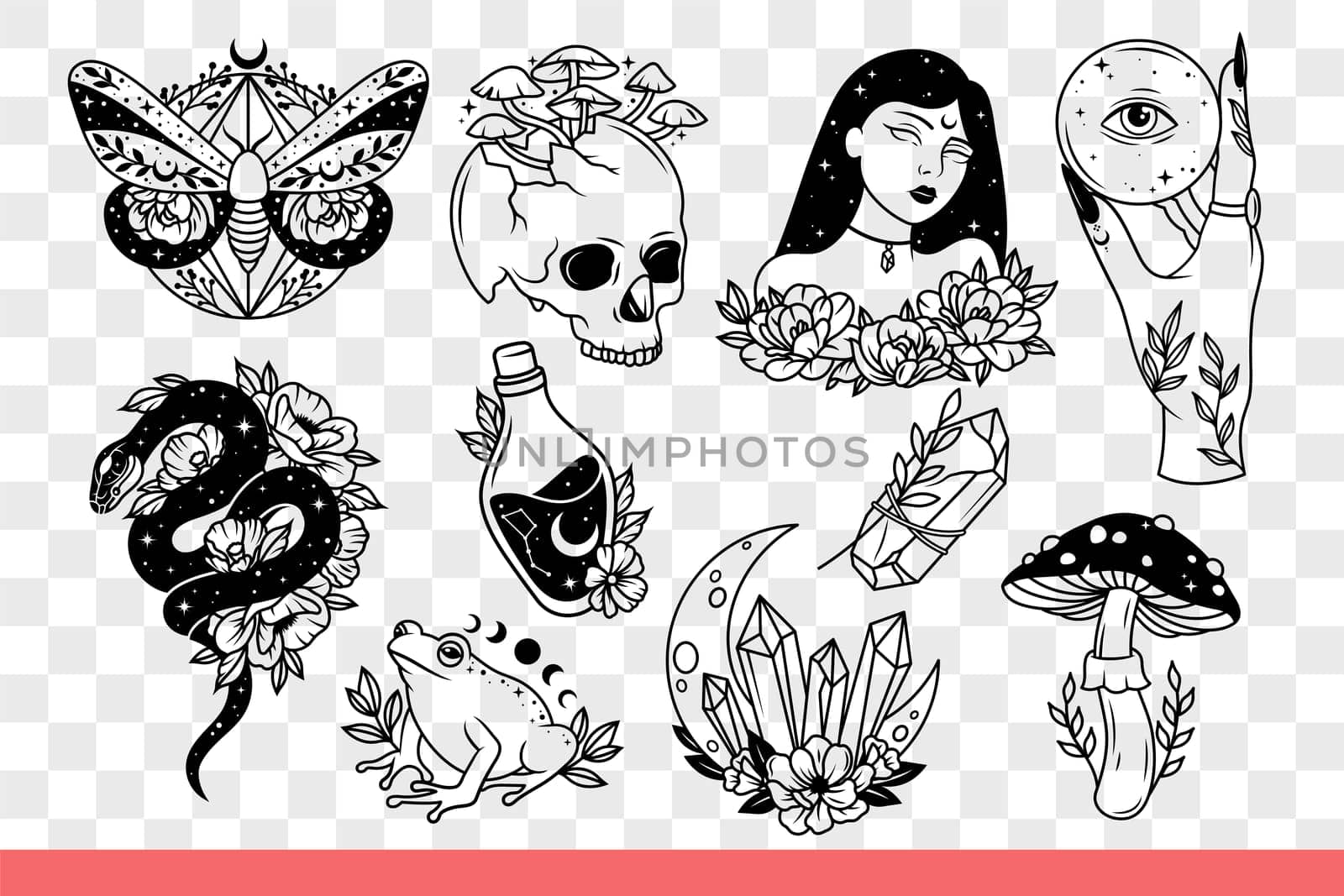 Occult and esoteric symbolism with flowers or mushrooms, for designs about mysticism or witchcraft. Occult woman and frog near ritual rubies and dangerous snake or magic potion. Hand drawn.
