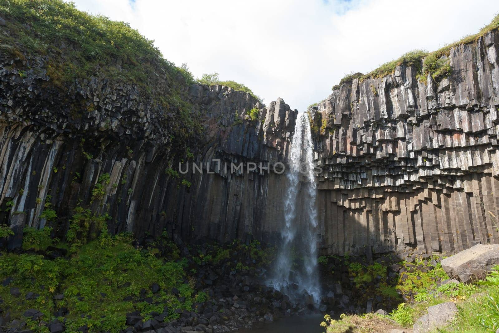Svartifoss falls in summer season view, Iceland. Icelandic landscape.