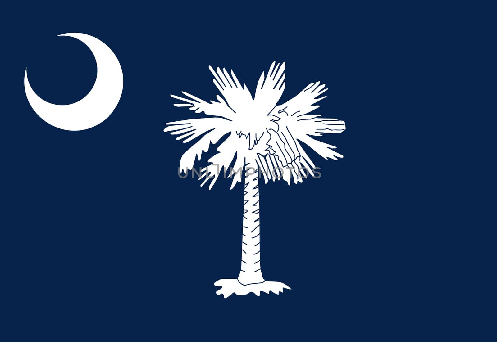 A South Carolina State Flag background illustration