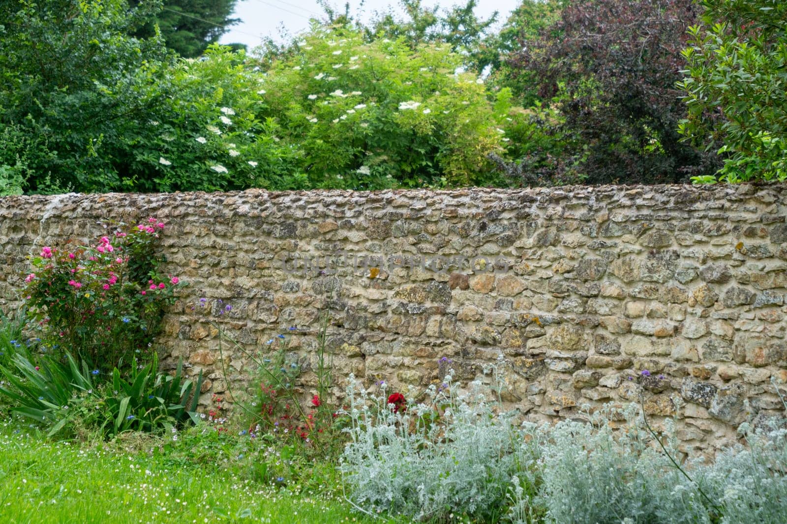 A stone wall with a garden in front of it. The garden has a variety of plants, including flowers and shrubs. The wall is tall and made of stone, giving the garden a sense of privacy and seclusion