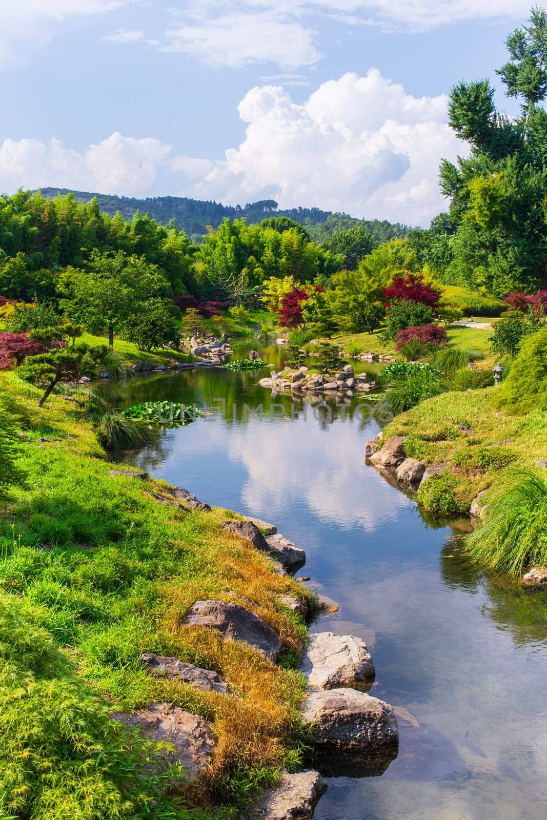 Japanese trees, garden and lush nature in spring