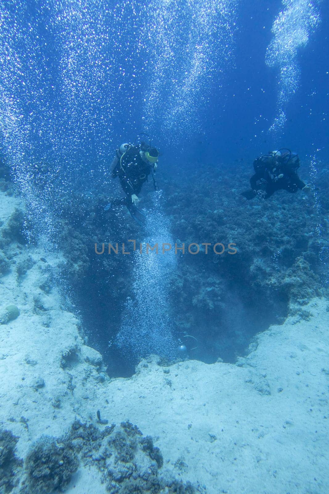 Two scuba divers with the equipment over colorful coral reef on the bottom of tropical sea at great depth, underwater landcape. View of famous canyon