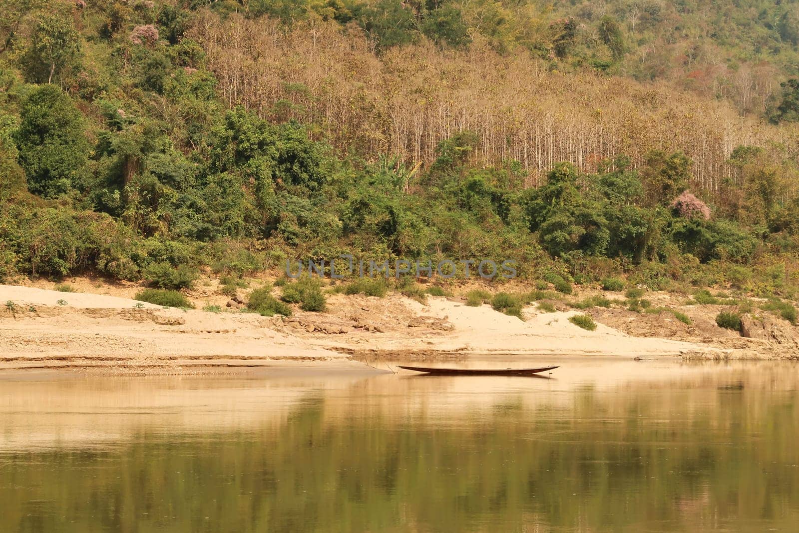 View from the slow boat from Thailand to Laos onto the shore of the Mekong River, a docked fisher boat is reflecting in the water in front of a dense forest, Laos 2023