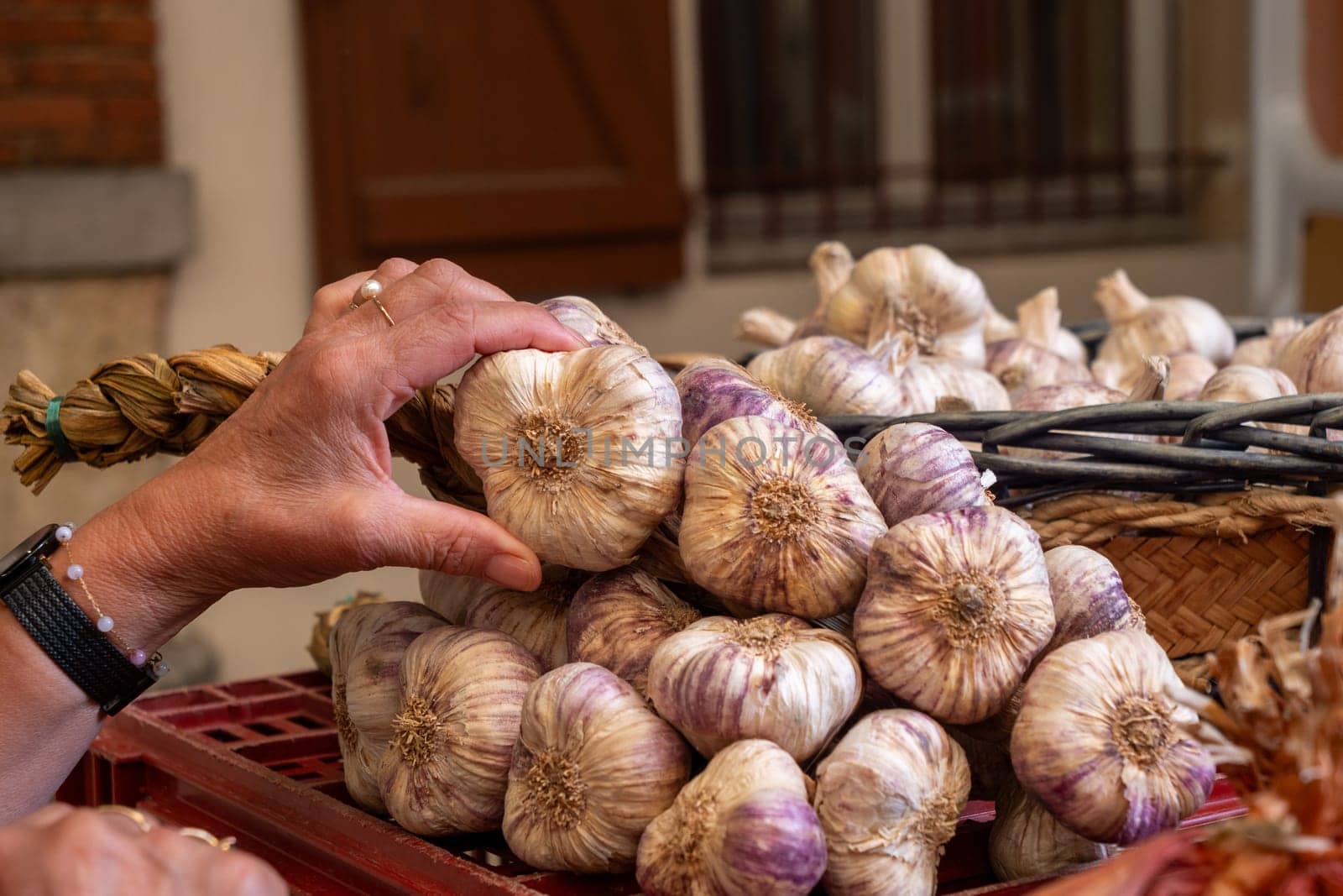 A person is holding a bunch of garlic. The garlic is purple and white