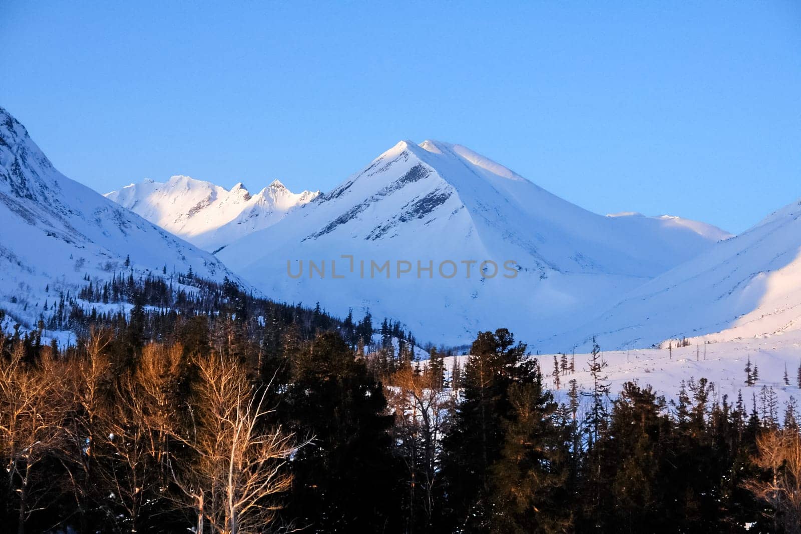 Baikal mountains in winter in snow. Forest in snow-covered mountains.