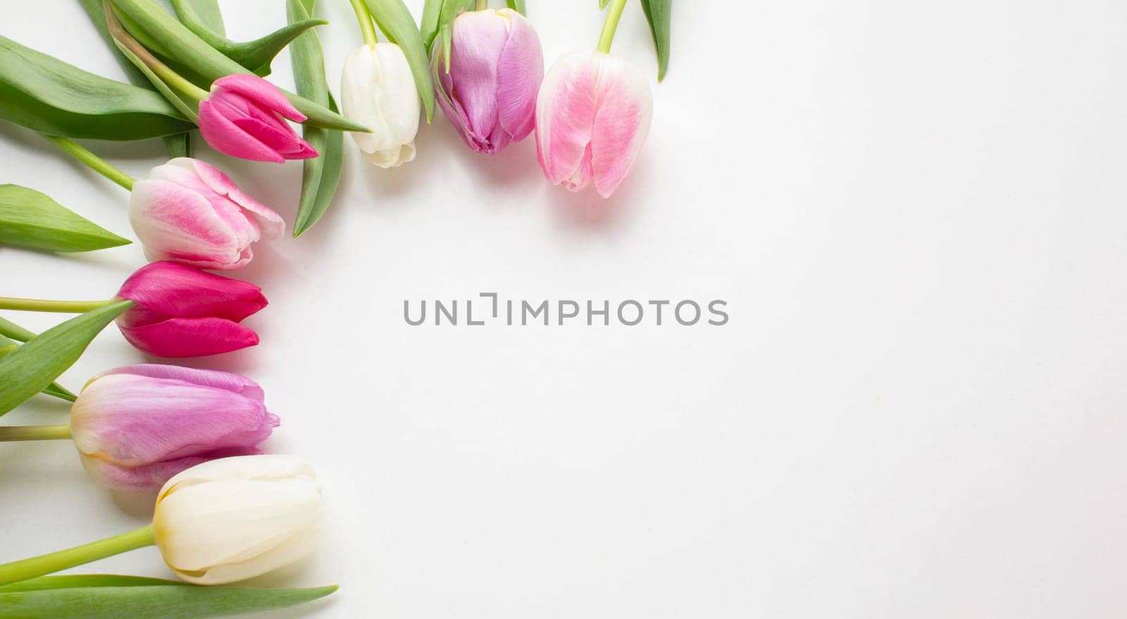 top view tulips flowers with copy space. High resolution photo