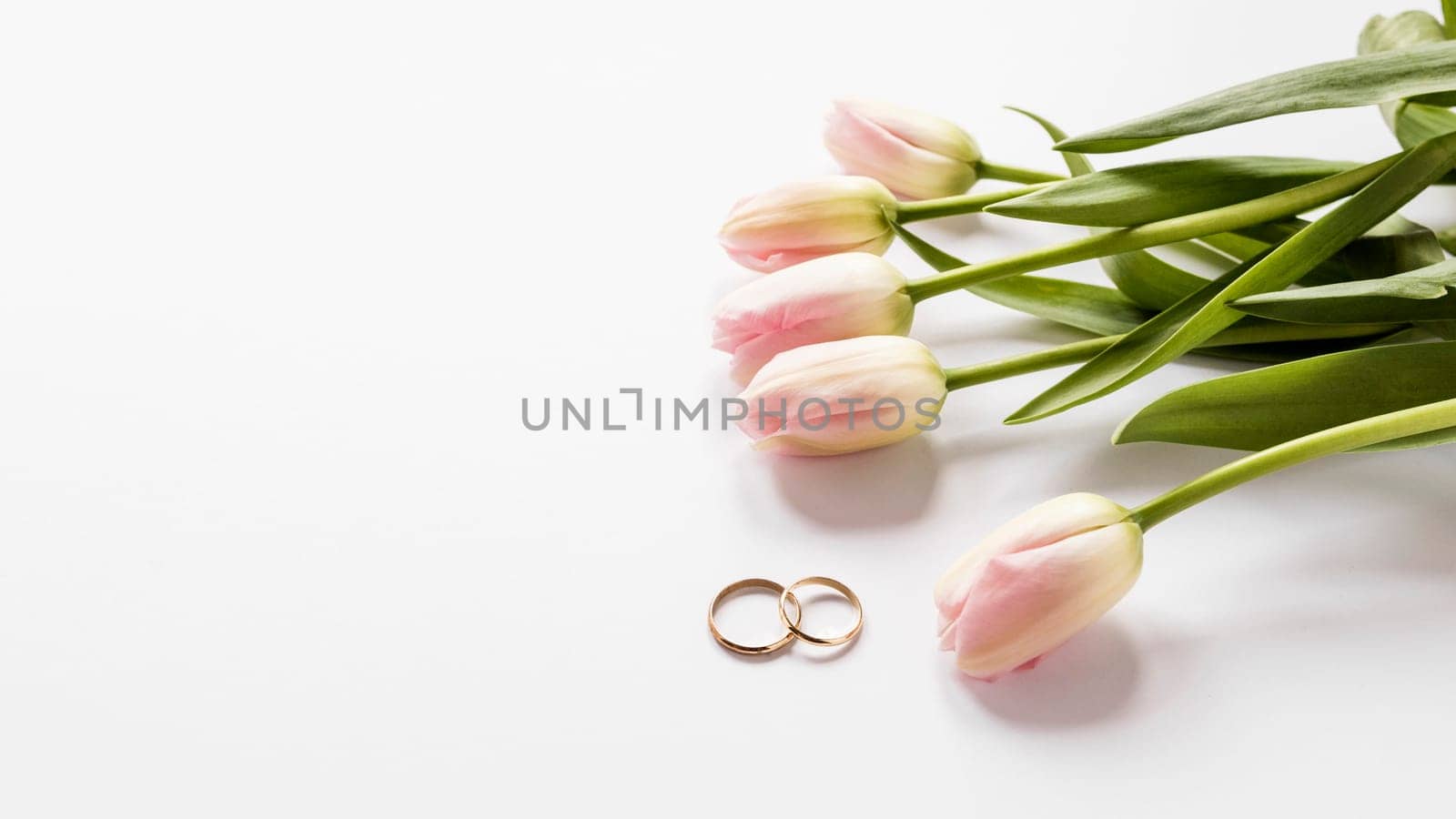top view tulips engagement rings. High resolution photo