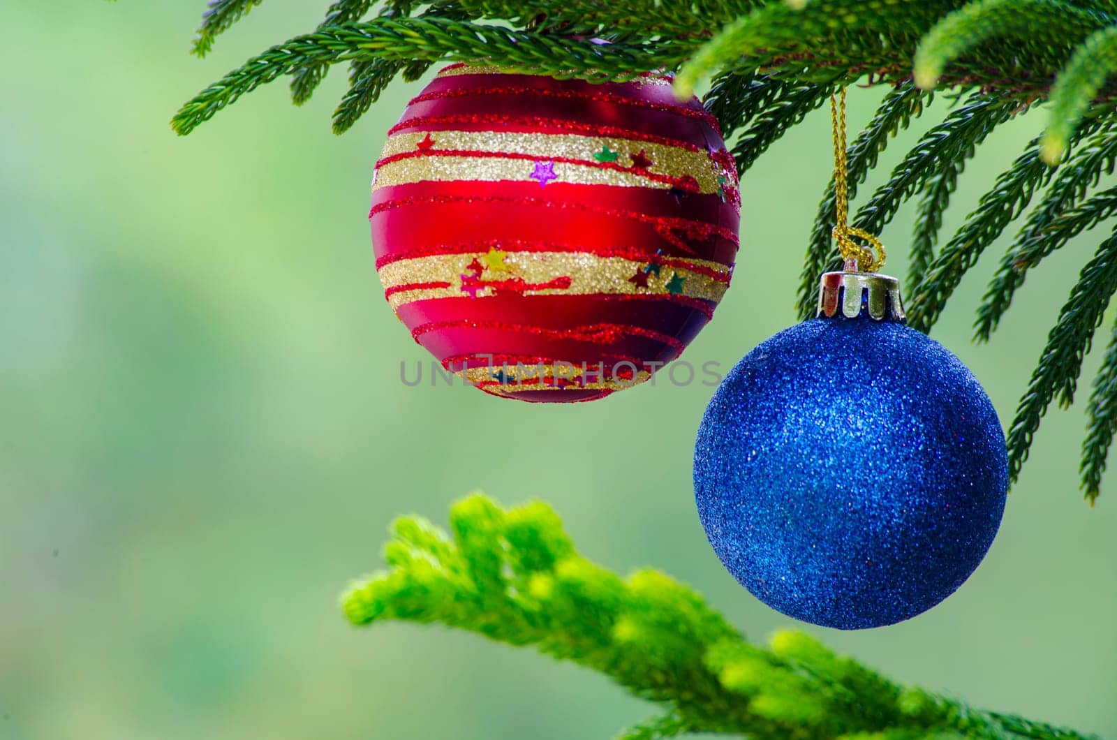 Christmas balls on Pine Tree representing Christmas celebration time.