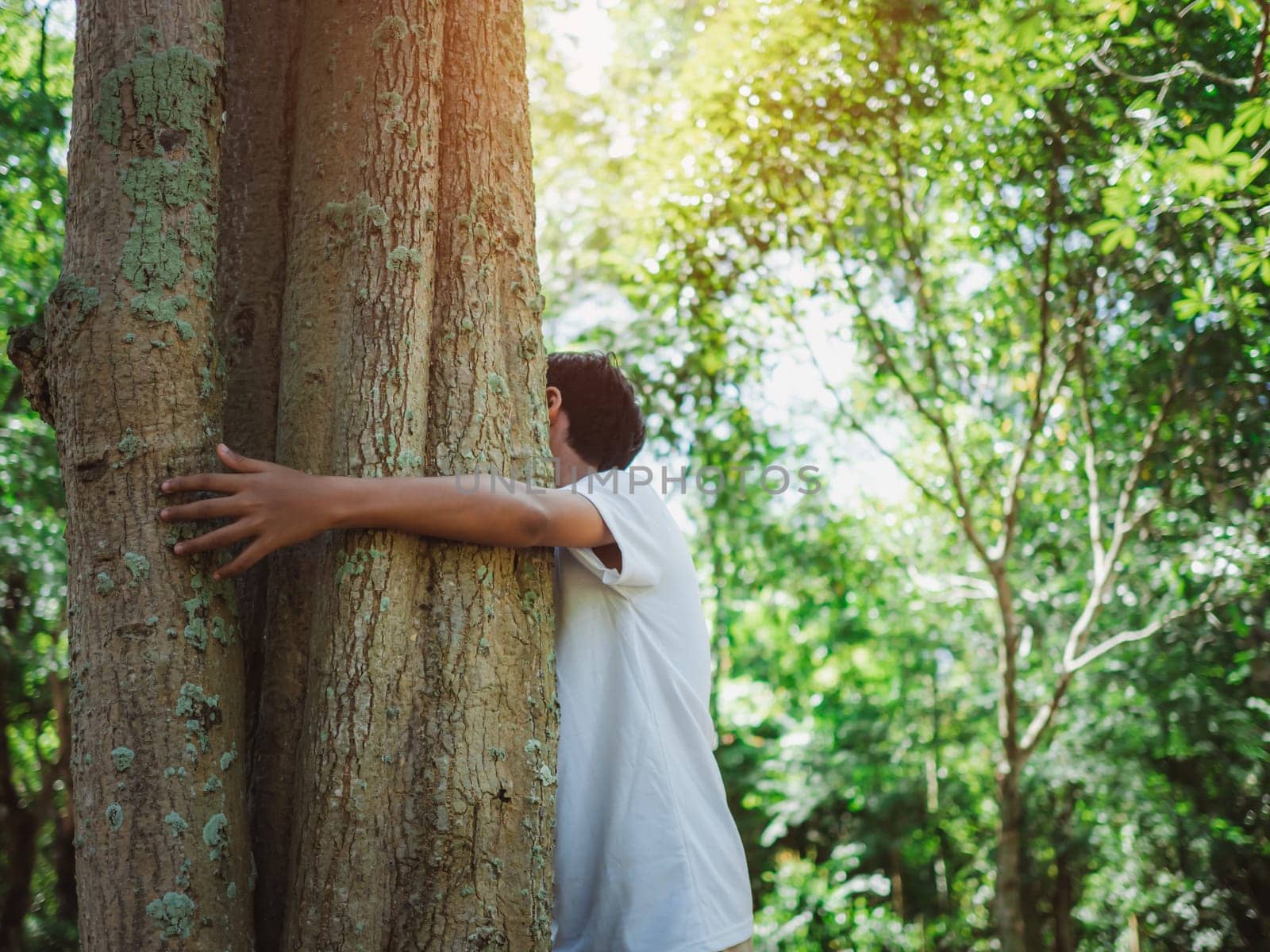 Human hands are hugging a tree in love. Representing helping to preserve the environment. Concept of saving the world.