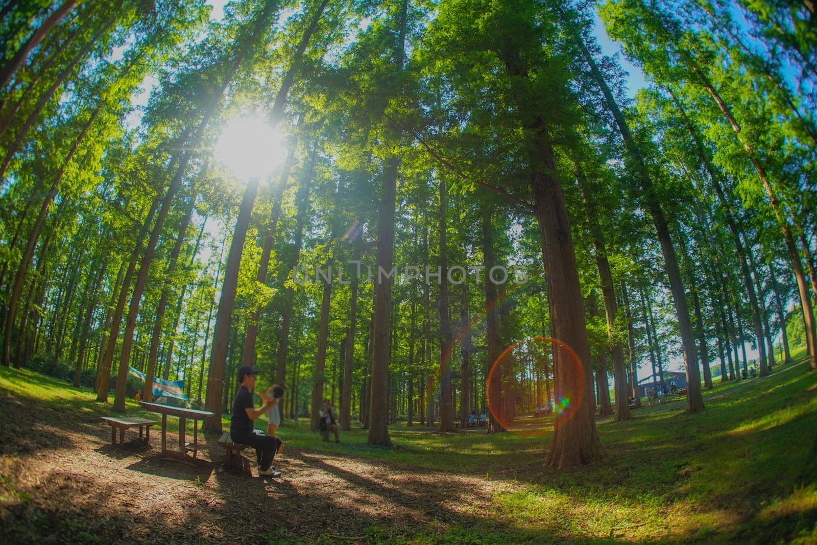 Metasekoya Forest (Mizumoto Park). Shooting Location: Katsushika-ku, Tokyo