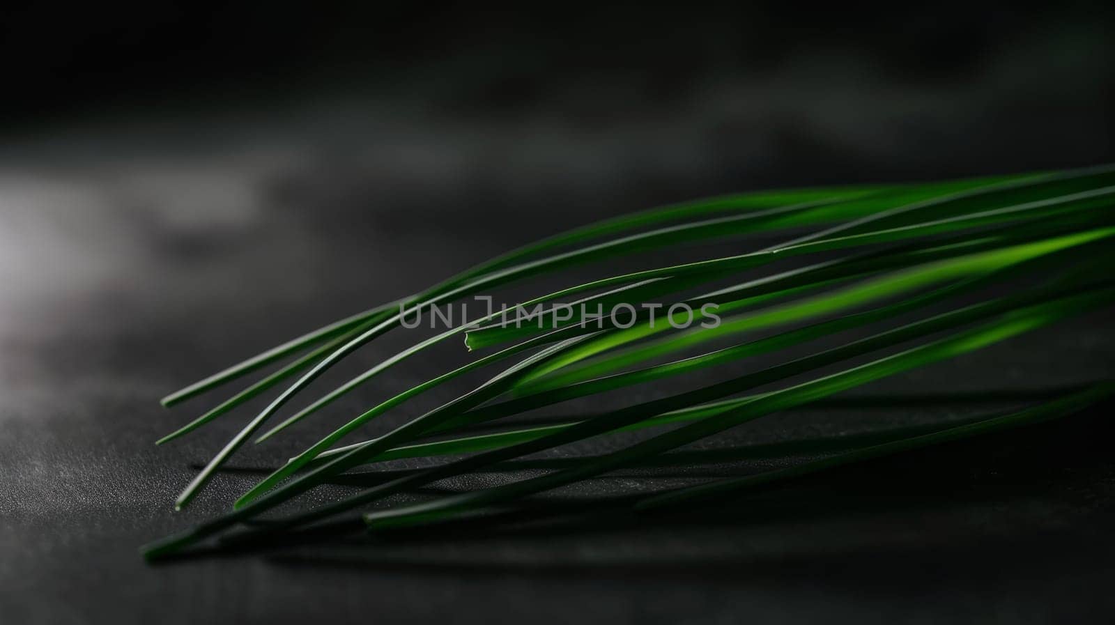 Minimalist shot of a spinning slice of chives