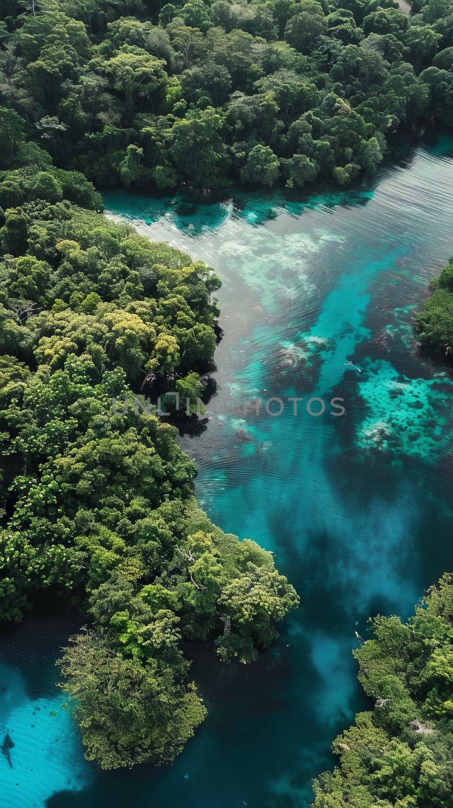 Tranquil lagoons surrounded by lush mangrove forests
