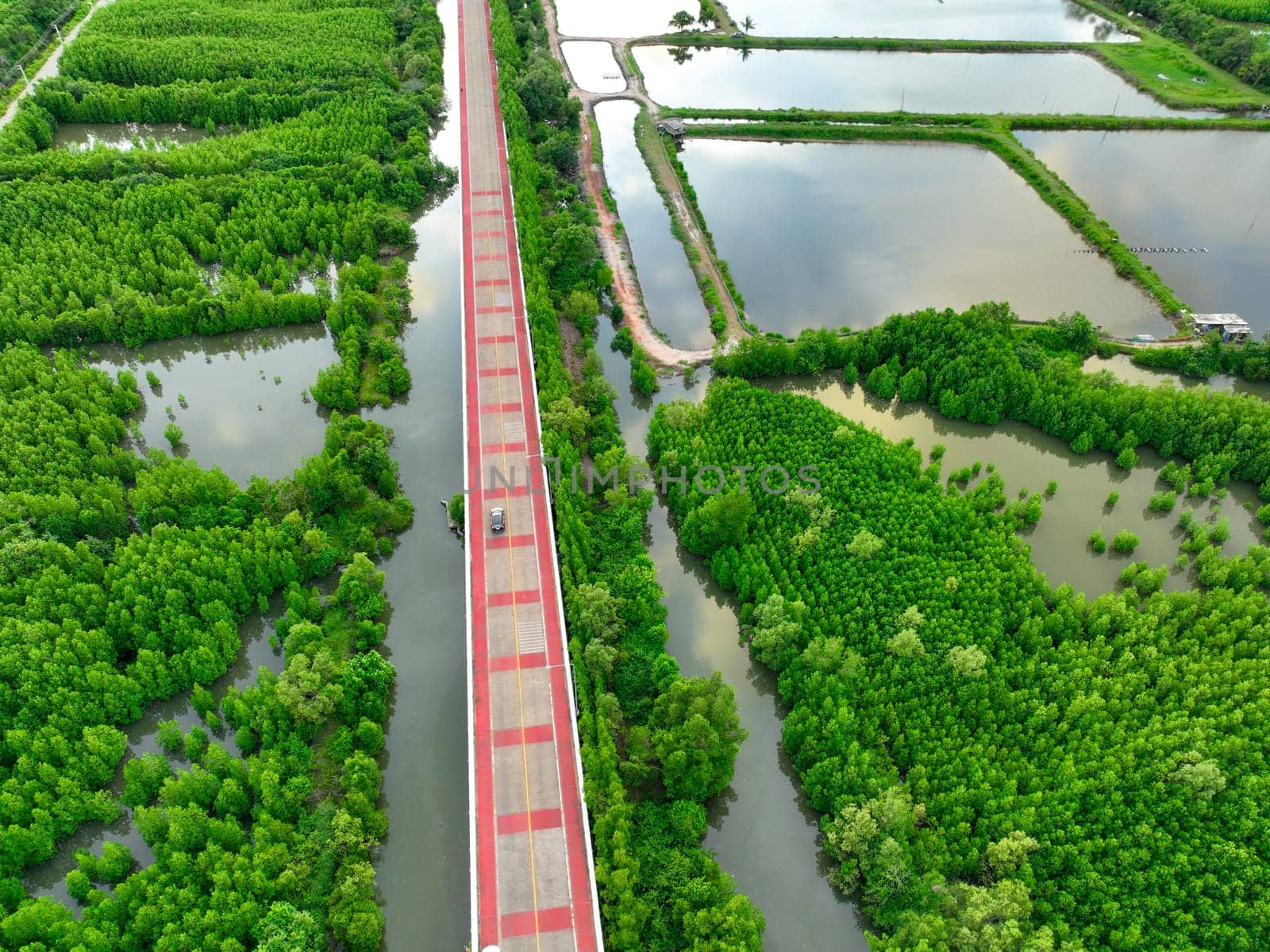 Aerial drone view of a concrete road cutting through a lush green mangrove forest, Mangroves capturing CO2 and serving as a natural carbon sink within the blue carbon ecosystem for net zero emissions