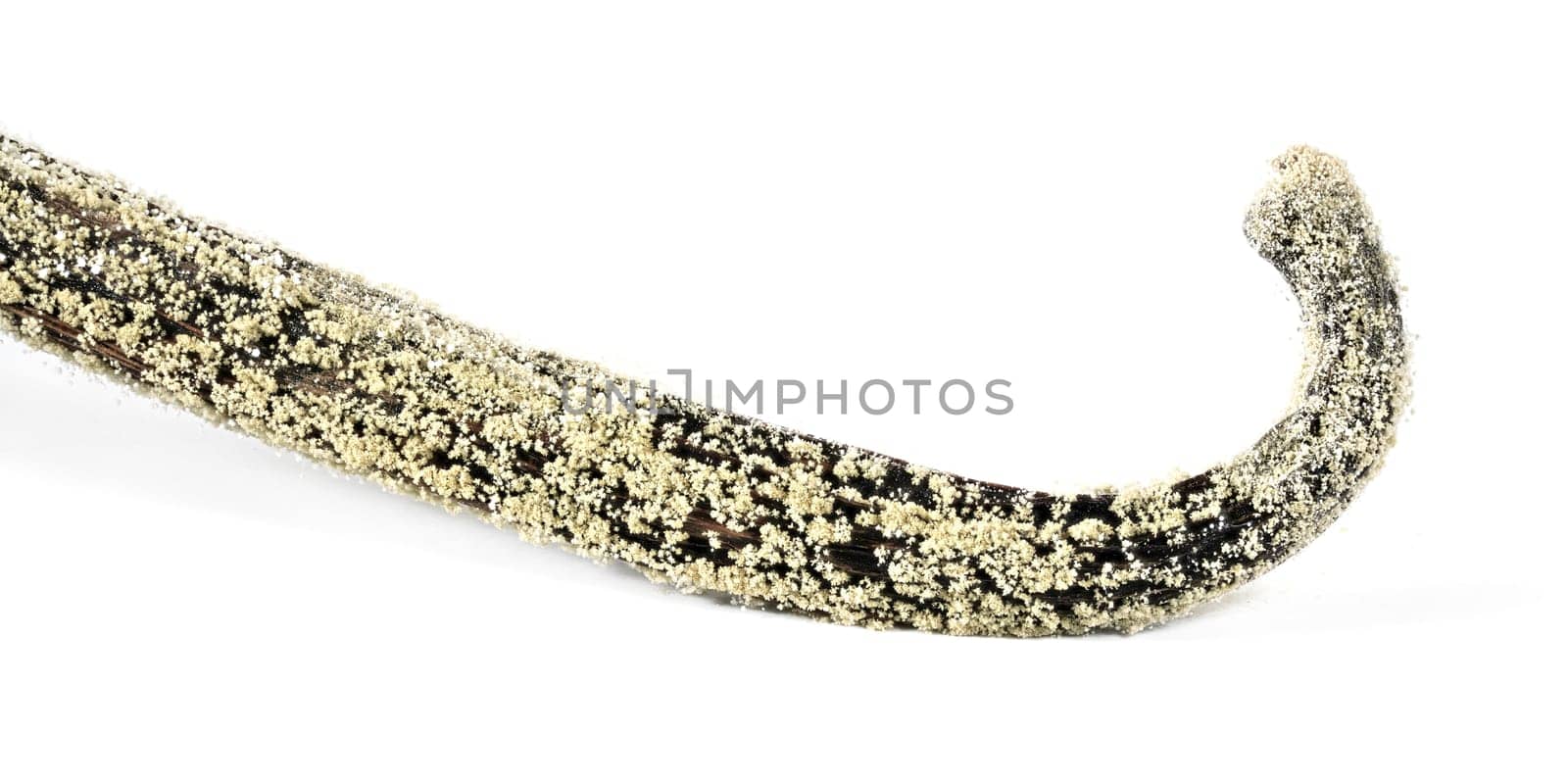 White / yellow mould or mildew growing on vanilla sticks stored improperly in wet and cold fridge - close up detail photo isolated on white background