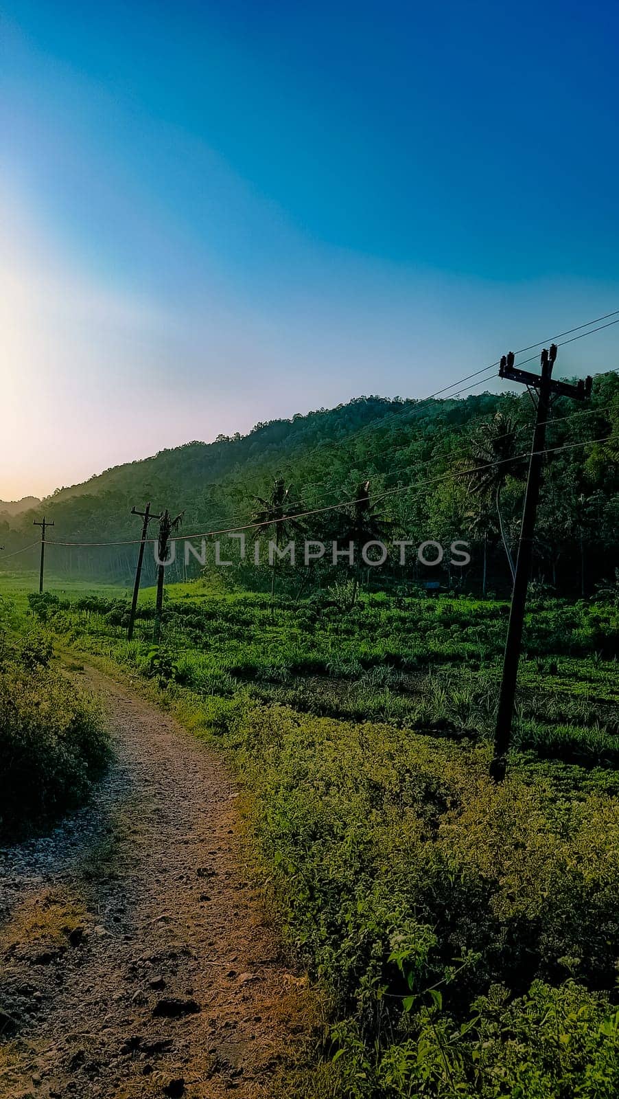 Tranquil rural landscape featuring a winding dirt path and power lines under a setting sun. Vibrant greenery and hills create a peaceful and natural atmosphere.
