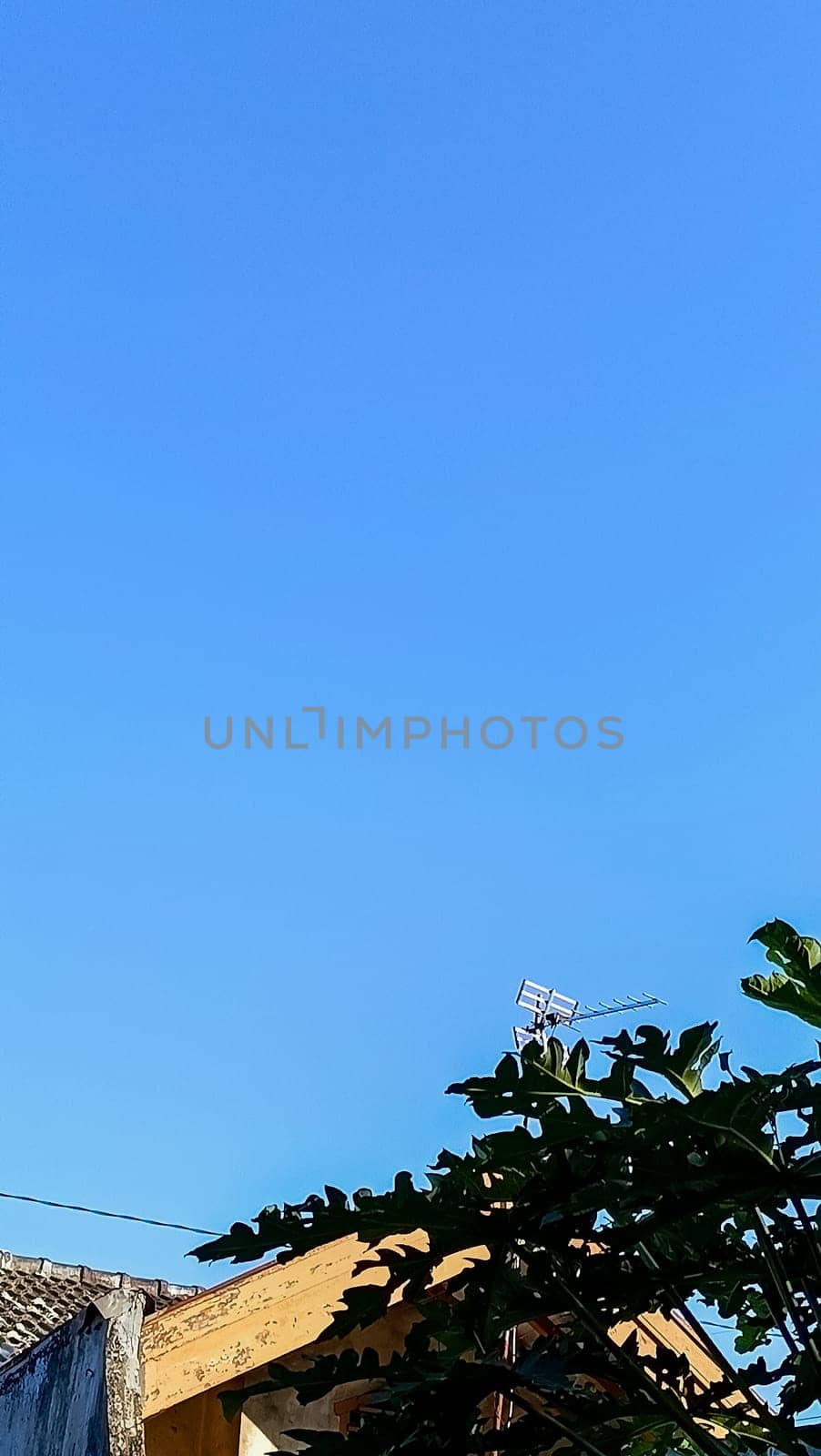 A clear blue sky stretches above a rustic rooftop and lush green foliage, evoking a sense of tranquility and natural beauty. The scene captures a peaceful moment in nature.