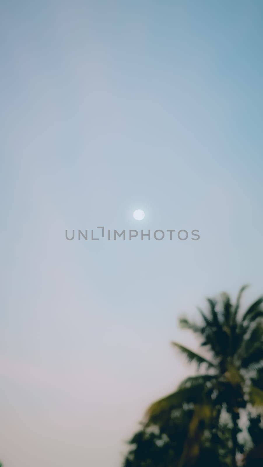 Beautiful blurred view of a serene sunset sky with a palm tree silhouette, capturing tranquil and calming nature vibes.