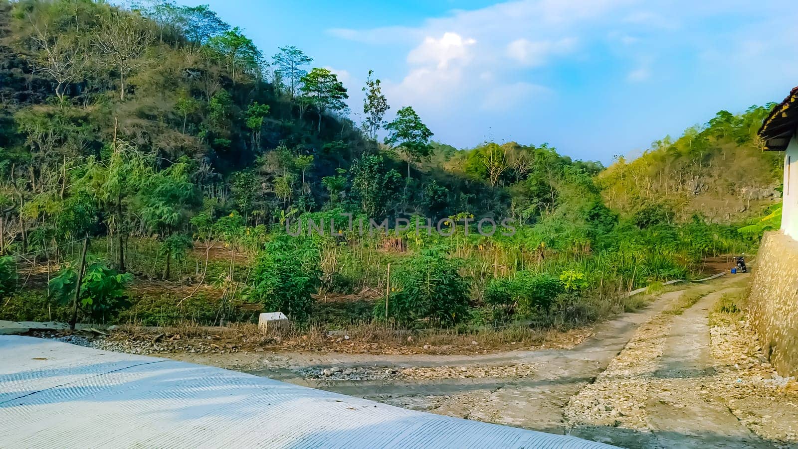 Idyllic rural scene featuring vibrant green hills and a peaceful dirt road under a bright blue sky, offering a sense of tranquility and natural beauty.