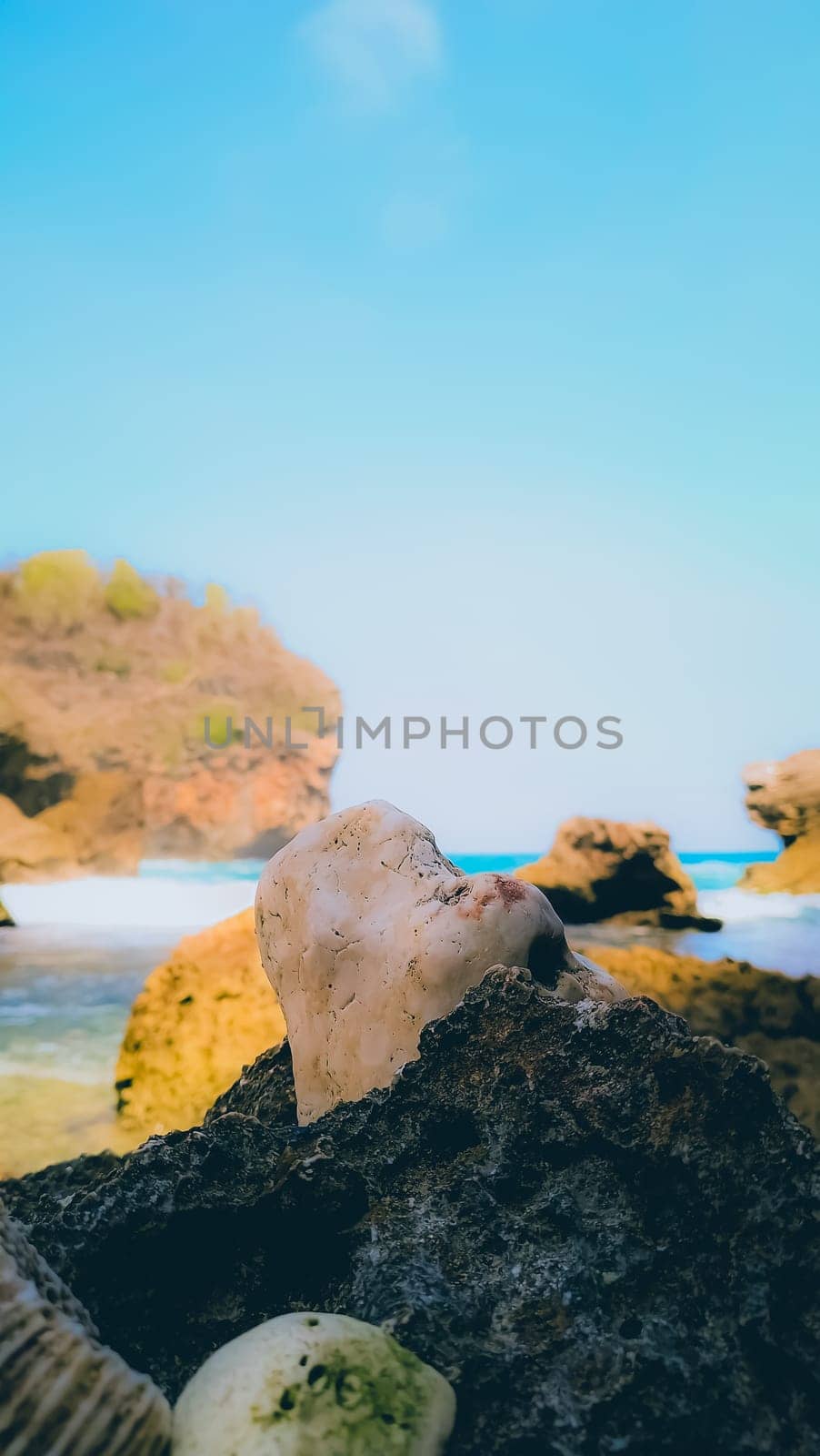 A close-up of a skull-shaped rock on a rocky beach shoreline, evoking mystery and the beauty of natural formations under clear skies.