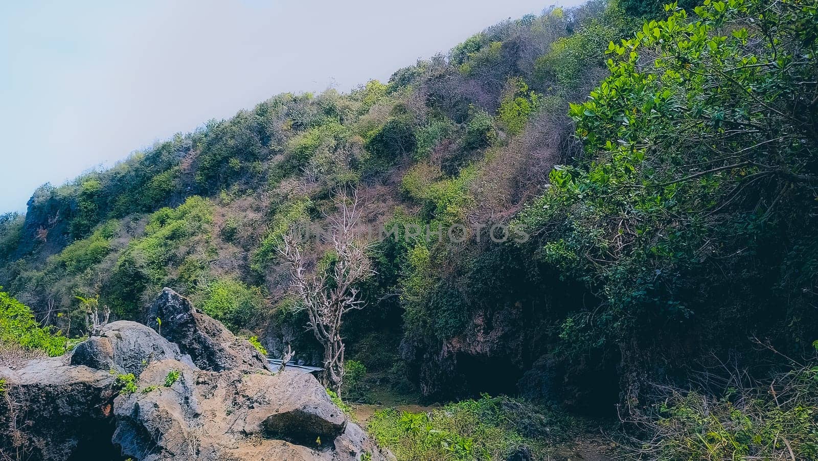 Explore a lush green mountainside adorned with vibrant foliage and rugged rocky terrain. This natural landscape evokes tranquility and the beauty of untouched wildernes
