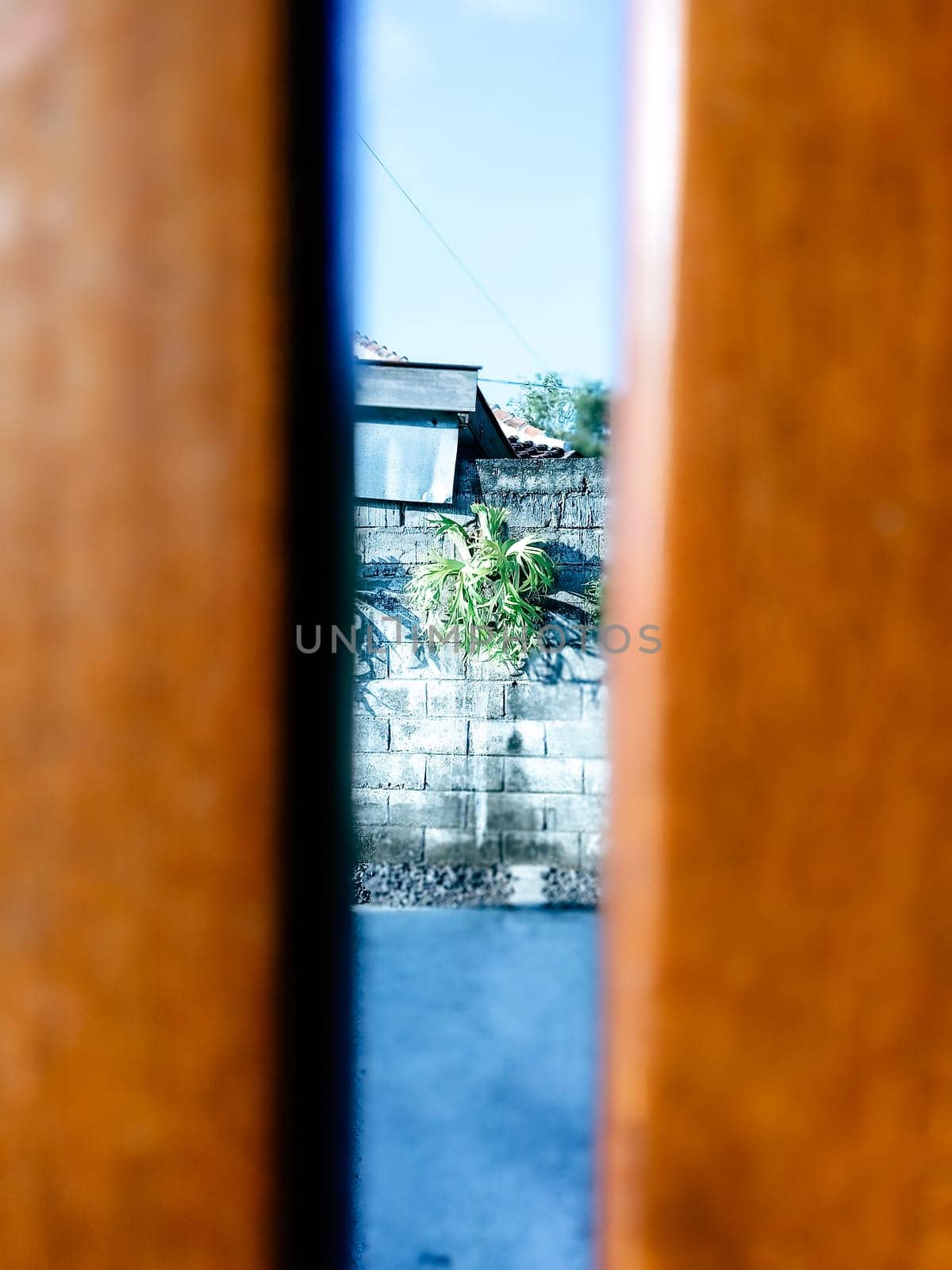 A unique view through a wooden fence reveals a garden with a stone wall backdrop. A single plant enhances the serene outdoor setting.