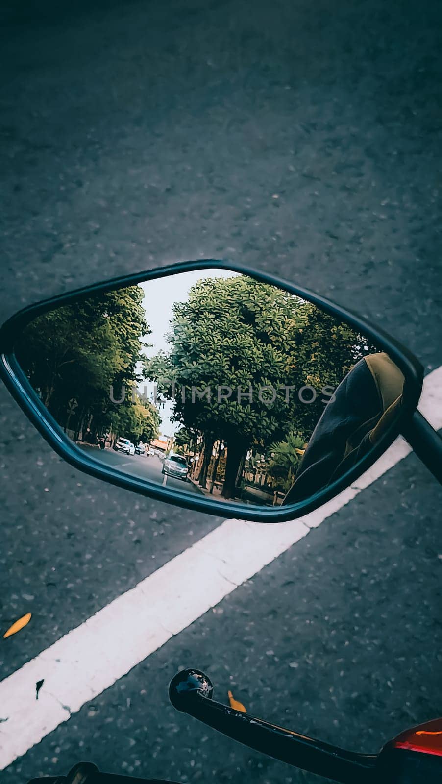 A vivid reflection of a lush tree-lined road is captured in a motorcycle mirror, suggesting travel and adventure. The mirror's angle offers a unique perspective of the picturesque journey.