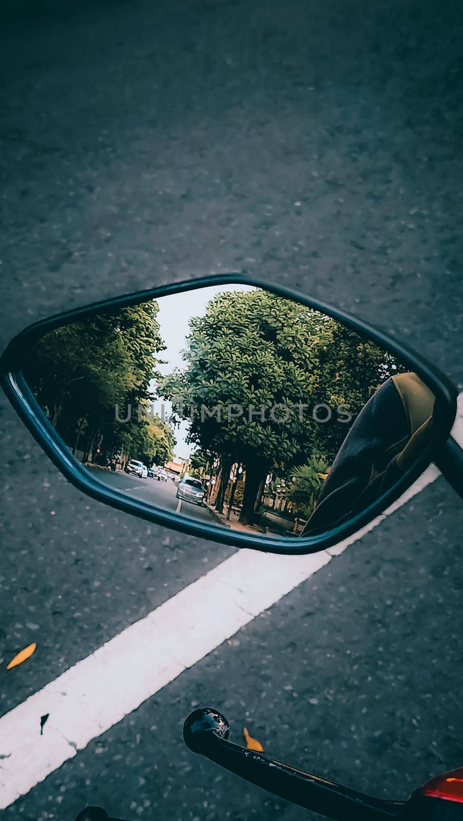 A vivid reflection of a lush tree-lined road is captured in a motorcycle mirror, suggesting travel and adventure. The mirror's angle offers a unique perspective of the picturesque journey.